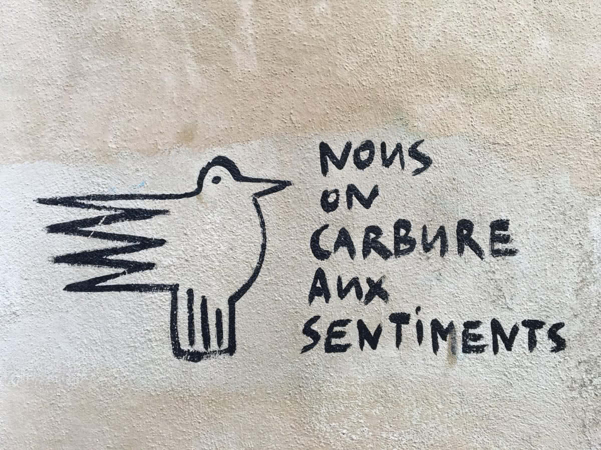 Nous on carbure aux sentiments